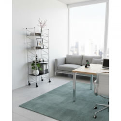 LIBRERIA SOCRATES CAIMI